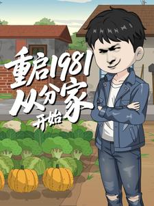 重启1981，从分家开始