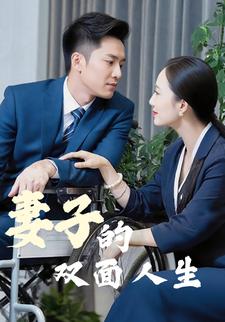 妻子的双面人生