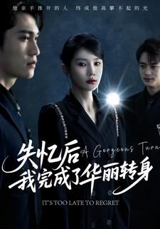 失忆后我完成了华丽转身