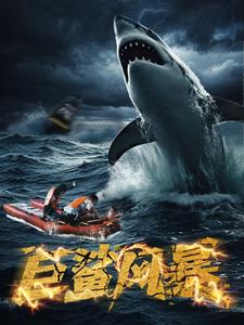 巨鲨风暴
