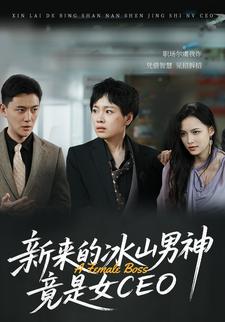新来的冰山男神竟是女CEO