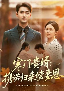 寒门贵婿：携诺归来偿妻恩