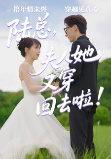 陆总，夫人她又穿回去啦