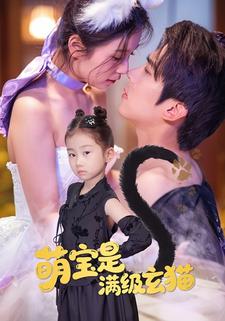 萌宝是满级玄猫