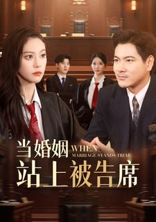 当婚姻站上被告席