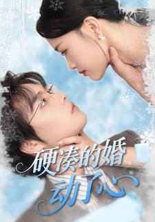 硬凑的婚，动了心