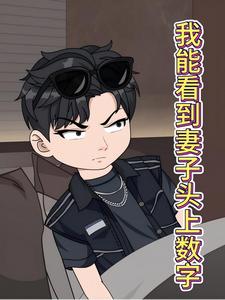 我能看到妻子头上数字