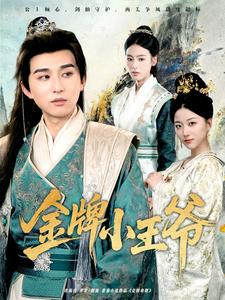 金牌小王爷