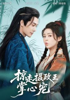 掠走摄政王掌心宠