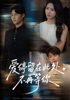 爱停留在此处，不再等你