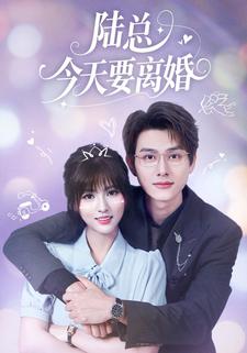 陆总今天要离婚