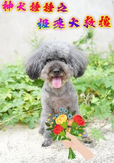 神犬锤锤之极速大救援