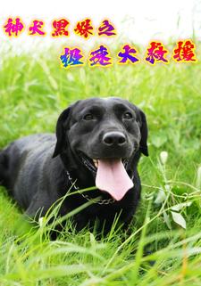 神犬黑妹之极速大救援
