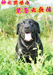 神犬黑妹之紧急大救援