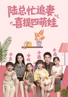 陆总忙追妻，喜提四萌娃