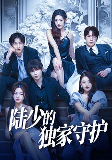 陆少的独家守护