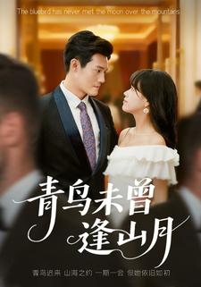 青鸟未曾逢山月