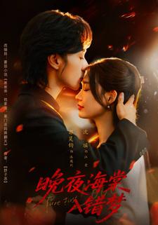 晚夜海棠入错梦