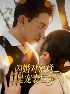 闪婚对象竟是宠妻巨鳄