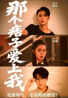 那个痞子爱上我