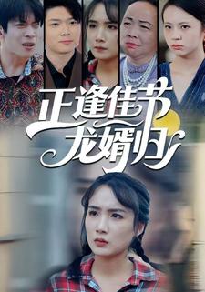 正逢佳节龙婿归