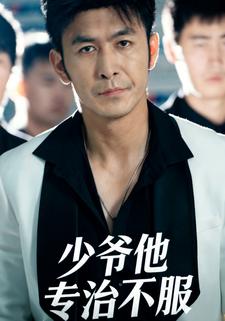 少爷他专治不服