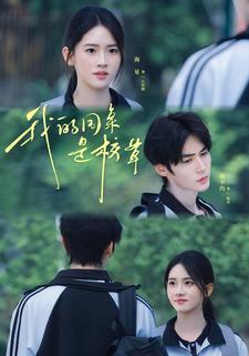 我的同桌是校草