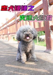 忠犬锤锤之火速大营救