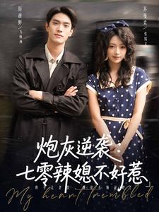 炮灰逆袭：七零辣媳不好惹