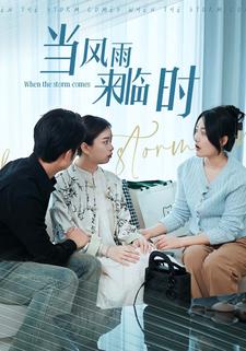 当风雨来临时