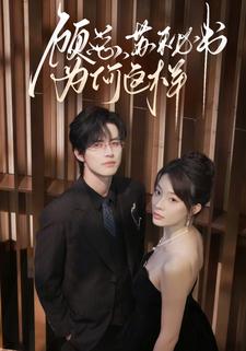 顾总，苏秘书为何这样