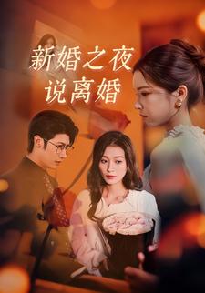 新婚之夜说离婚