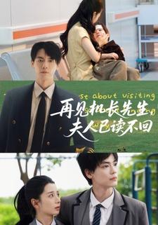 再见机长先生，夫人已读不回