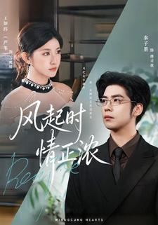 风起时情正浓