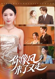 你像风来了又走
