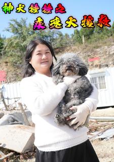 神犬锤锤之疾速大援救