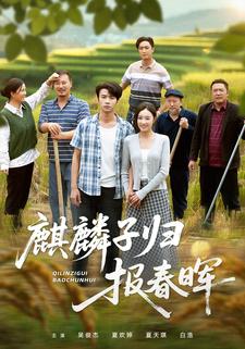 麒麟子归报春晖