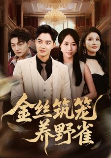 金丝筑笼养野雀