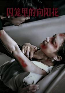 囚笼里的向阳花