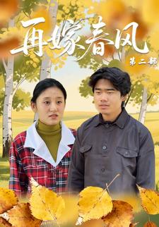 再嫁春风第二部