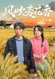 风吹麦花香第三部