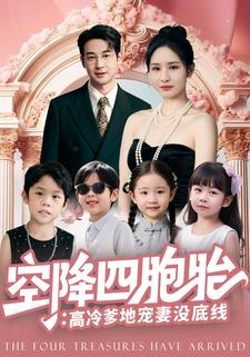 空降四胞胎：高冷爹地宠妻没底线