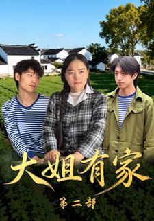 大姐有家第二部