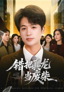 错把真龙当废柴