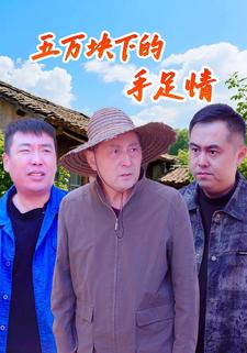 五万块下的手足情