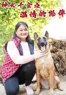 神犬千金之温情的陪伴