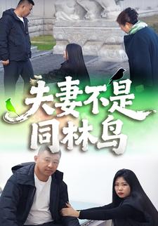 夫妻不是同林鸟