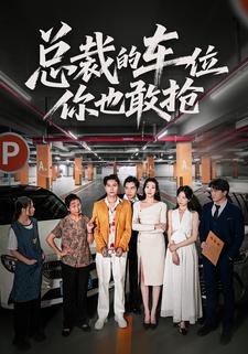 总裁的车位你也敢抢