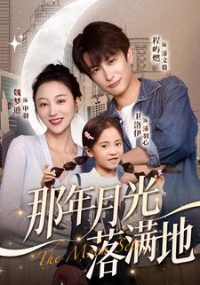 那年月光落满地
