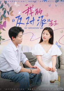 我的“反对派”先生